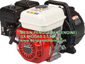 Biogas Engine